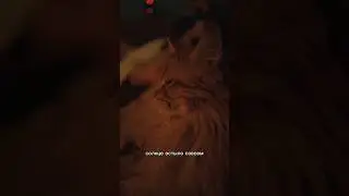 Витас - Опера 2 