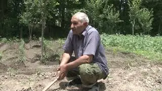 Истифодаи максадноки замин Муъминобод 2022