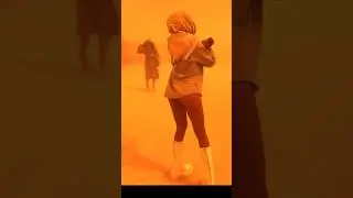 Монголия, Гоби, Ленд Крузер 100....