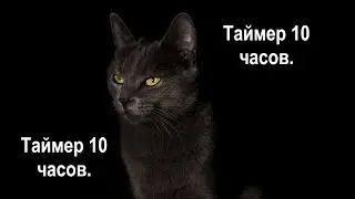 Таймер 10 часов. Timer 10 hours.