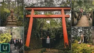 lightroom mobile presets free dng | lightroom presets tutorial mobile
