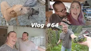 Vlog #64 - Endlich wieder Baustelle, frische Ernte & Kochen