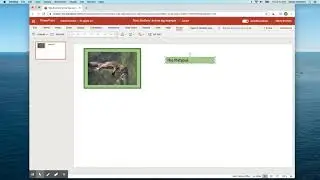How to add a text box in PowerPoint