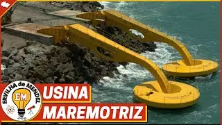 Usina maremotriz | Como funciona a usina maremotriz? | Energia ondomotriz | O que é usina maremotriz