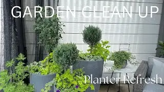 Garden Clean Up| Planter Refresh|Window Box Planting