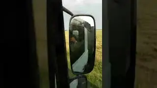 лето,уборка 2016