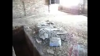 Владимир Казанцев