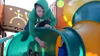 Яковлевское, парк сосны.