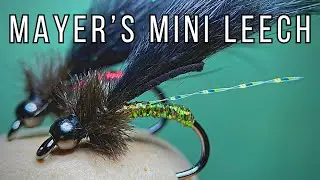 Two Variations of Landon Mayer's Mini Leech