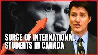 The Surge of International Students in Canada | Study in Canada 2024