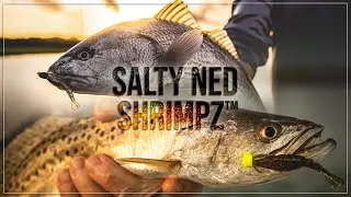 Introducing the SALTY NED SHRIMPZ