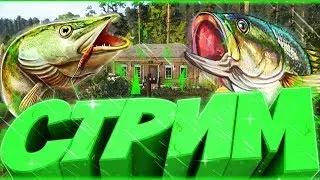 Русская рыбалка 4 оз. Медвежье и оз. Старый Острог
