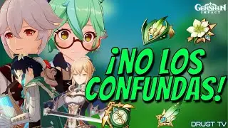CUANDO DEBES USAR CADA SOPORTE ANEMO | GENSHIN IMPACT