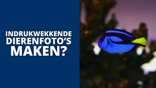 Workshop Dierenfotografie | Diergaarde Blijdorp