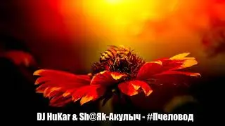 DJ HuKar & Sh@Яk-Акулыч - #Пчеловод (2020)