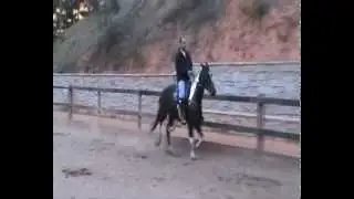 Deslumbrante.wmv