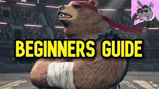 Kuma/Panda Beginners Guide - TEKKEN 8