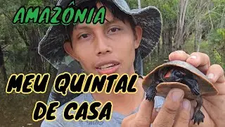 🐬 Aventura e pesca no meu paraíso particular
