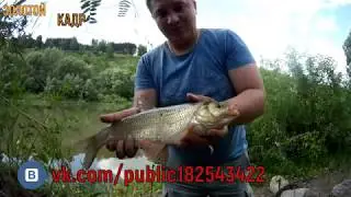 Крупный язь на фидер!река Иня