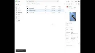 DP - RAW Photo Files - Google Drive