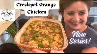 Easy and Quick Crockpot Chicken Recipe / Slow cooker Campbell's Cookbook Recipes