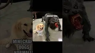 Minecraft Memes 322 #Memes #Shorts 2597