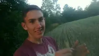 Огляд посівів 2022