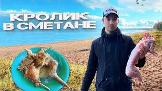 Кролик в сметане! Просто и вкусно! Кролик в казане на природе! karelskii готовит!