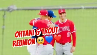 Ohtani 大谷 翔平 & Trout Reunion 🥹💙❤️ @ Dodgers 🙏