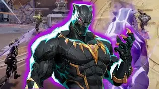 The Black Panther Experience