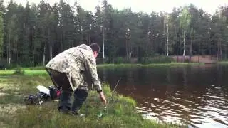 Ловля американских сомиков под Санкт-Петербургом