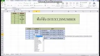 ฟังก์ชัน ตรวจสอบ อักษร และ ตัวเลข ISNUMBER,ISTEXT