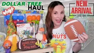 Dollar Tree Haul! New Finds! You Won't Believe How Amazing They Are!