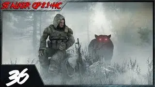 Прохождение  STALKER Народная Солянка + ОП 2.1 - Пушка для Кости  и Кейс для Кузницова#36.