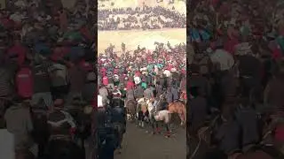 Asakada katta uloq koʻpkari udari bunaqasi boʻmagan #kino #kino2022uzbektilida