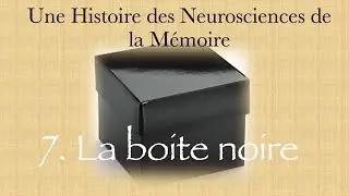 Une histoire des neurosciences de la mémoire - partie 7 la boite noire