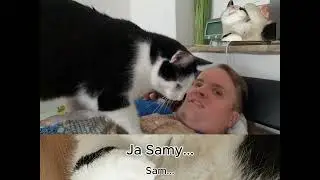 𝐖𝐨𝐫𝐭 𝐝𝐞𝐬 𝐓𝐚𝐠𝐞𝐬: 𝐒𝐜𝐡𝐧𝐮𝐫𝐫𝐞𝐧 🐈