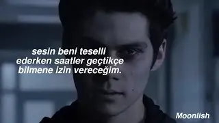 Mr.Kitty - After Dark (Türkçe Çeviri)