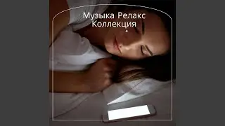 Ночь в ботаническом саду