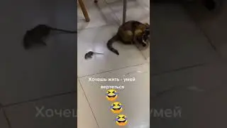 Так вот,значит как нужно вертеться,чтобы жить