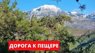 АЛАНЬЯ. МАХМУТЛАР НА МАШИНЕ