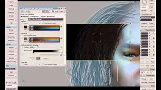 Simulation: Hair geometry shader