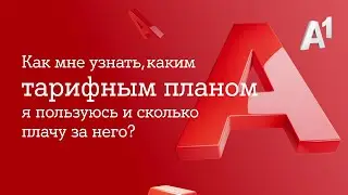 Информация о тарифном плане в приложении Мой А1.
