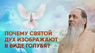 Почему Святой Дух изображается в виде голубя?