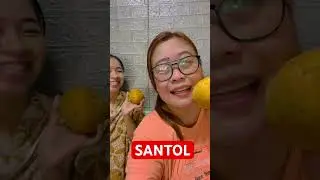SANTOL | FRUIT