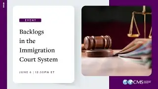 Backlogs in the Immigration Court System