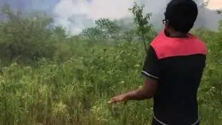 EXTREME FOREST FIRE ( Vaughan June 27 2016)