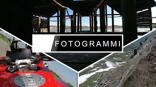 Fotogrammi
