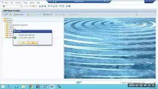 SAP - Operation Modes & SAP LICENSE