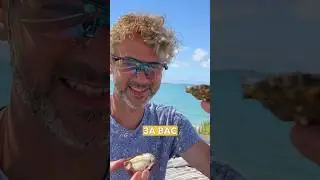 Устричный рай во Франции | велоспериал на канале  @Vsevsad